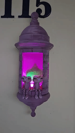 🔥🔥Puerto Rican Garita Wall Coqui Lamp