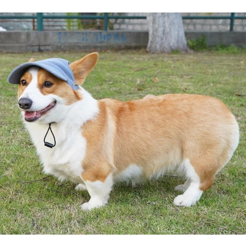 Corduroy Dog Sun Hat – Cute UV-Shade Hat for Sunny Walks