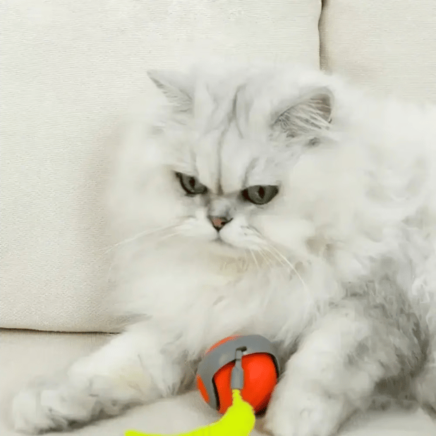 🔥Interactive Electric Rolling Ball with Teasing Tail