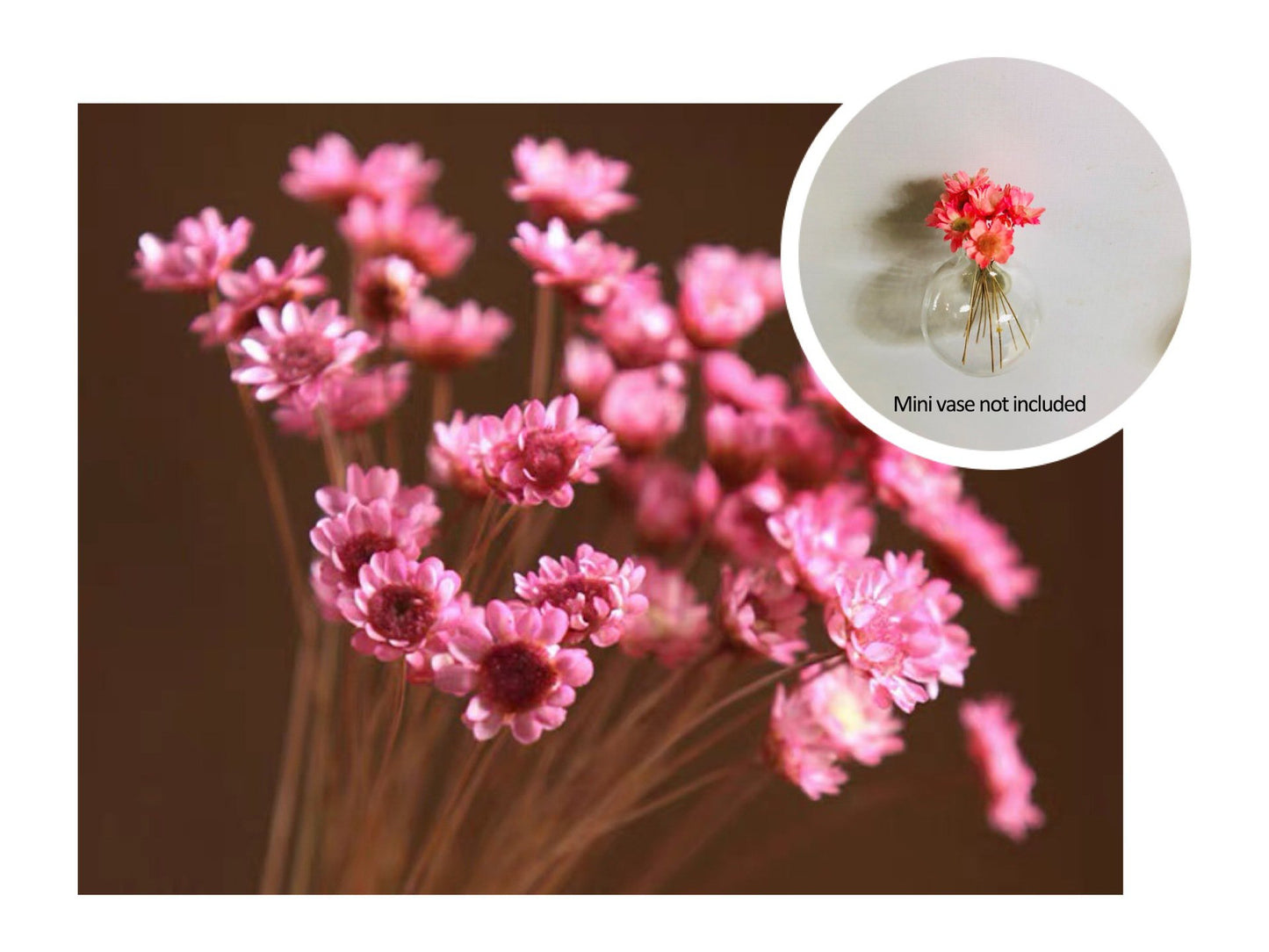 🎁Early Christmas🌸- Mini Ceramics Vase Fridge Magnet